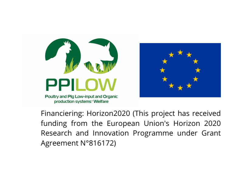 logo ppilow