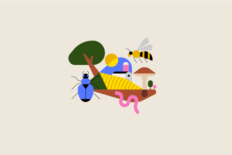 Biodiversiteit