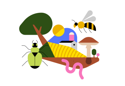 Biodiversiteit